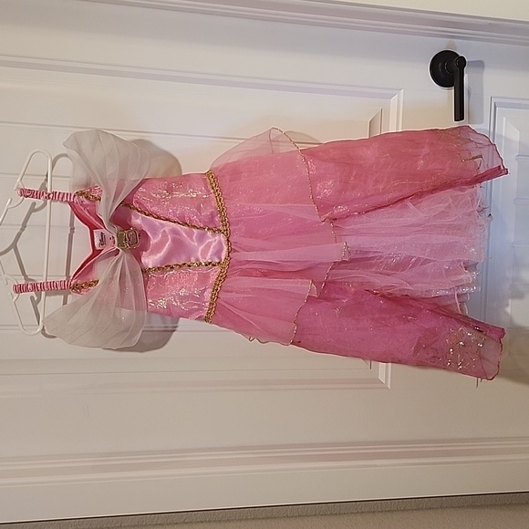 Disney Costumes Sleeping Beauty Disney Store 56 Gown Poshmark